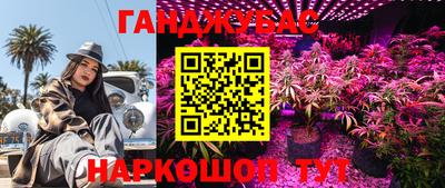 тгк Гусиноозёрск