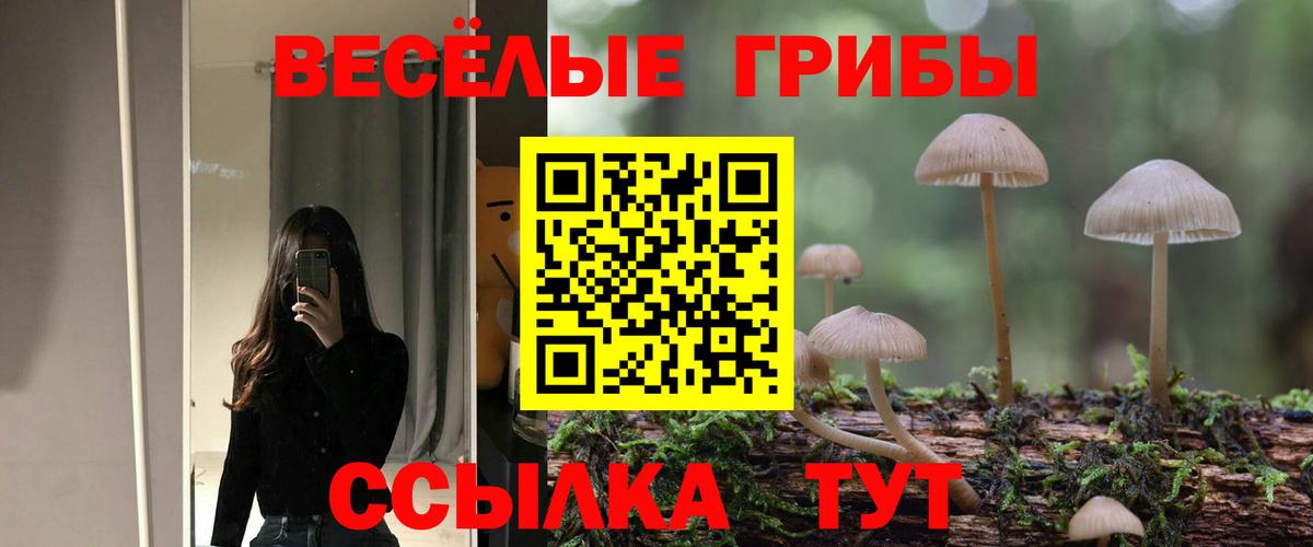 Галлюциногенные грибы Magic Shrooms Новоалександровск